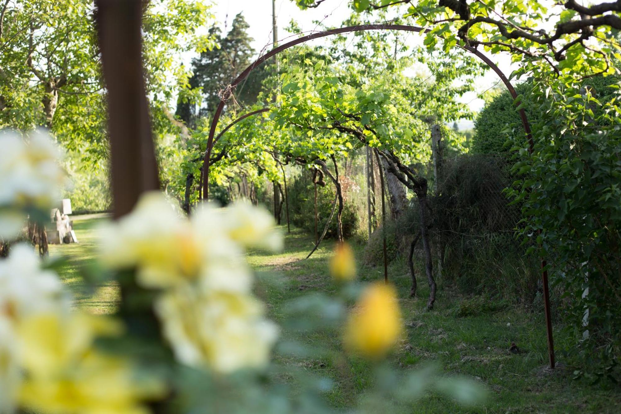 Villa Campo Di Fiore Arezzo Kültér fotó